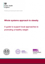 Whole systems approach to obesity: a guide to support local approaches to promoting a healthy weight